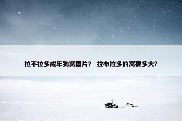 拉不拉多成年狗窝图片？ 拉布拉多的窝要多大？