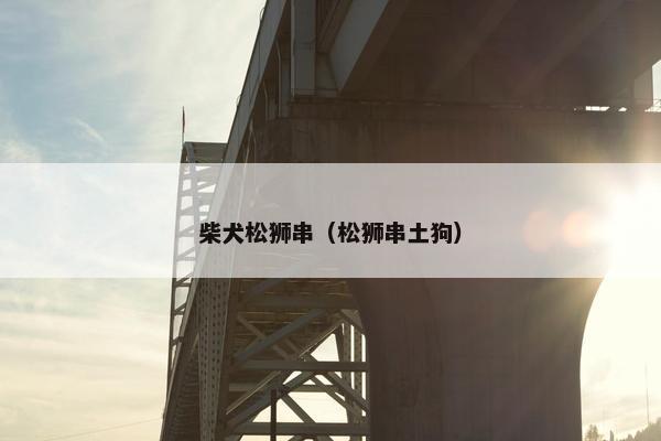 柴犬松狮串（松狮串土狗）