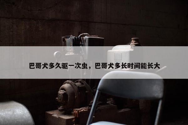 巴哥犬多久驱一次虫，巴哥犬多长时间能长大