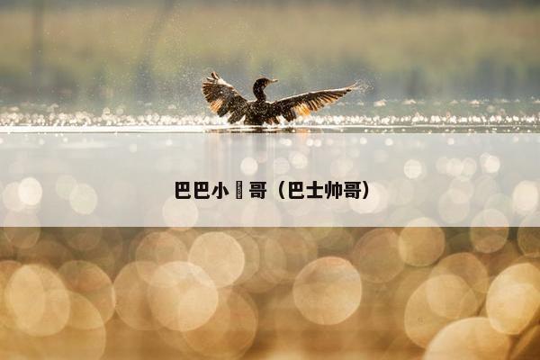 巴巴小帥哥（巴士帅哥）