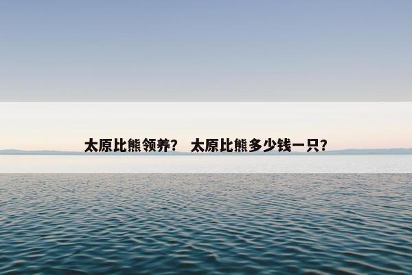 太原比熊领养？ 太原比熊多少钱一只？