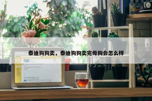 泰迪狗狗卖，泰迪狗狗卖完母狗会怎么样