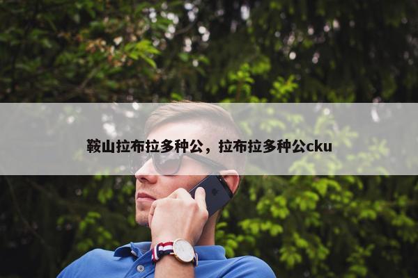 鞍山拉布拉多种公，拉布拉多种公cku