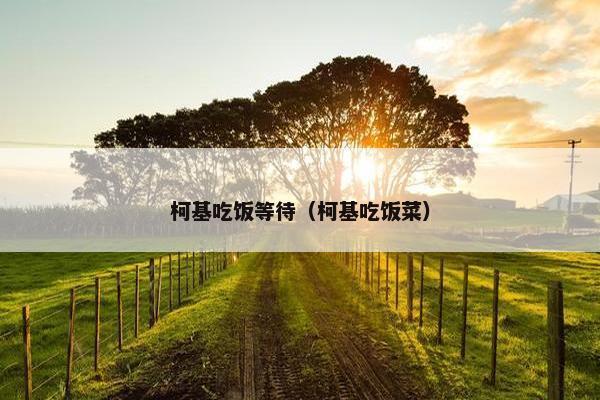 柯基吃饭等待（柯基吃饭菜）