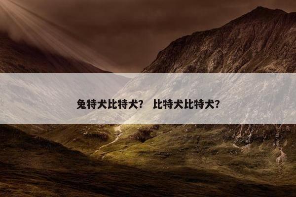 兔特犬比特犬？ 比特犬比特犬？