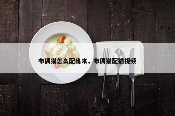 布偶猫怎么配出来，布偶猫配猫视频