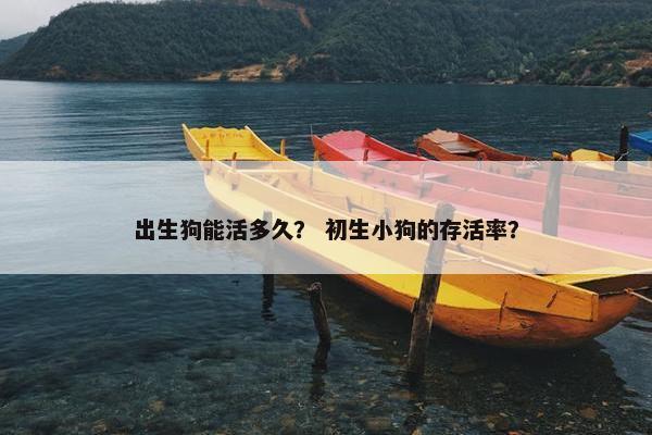 出生狗能活多久？ 初生小狗的存活率？