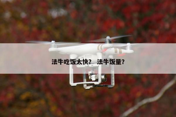 法牛吃饭太快？ 法牛饭量？