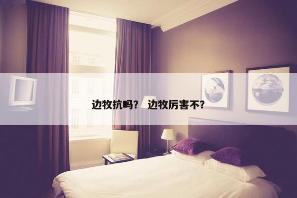 边牧抗吗？ 边牧厉害不？