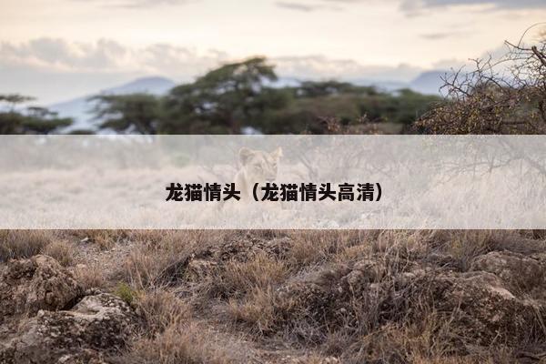 龙猫情头（龙猫情头高清）