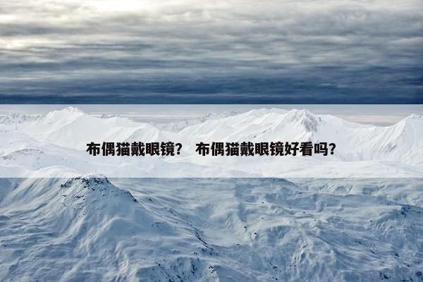 布偶猫戴眼镜？ 布偶猫戴眼镜好看吗？