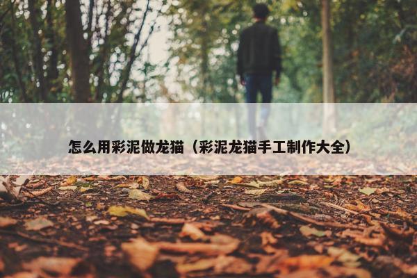 怎么用彩泥做龙猫（彩泥龙猫手工制作大全）