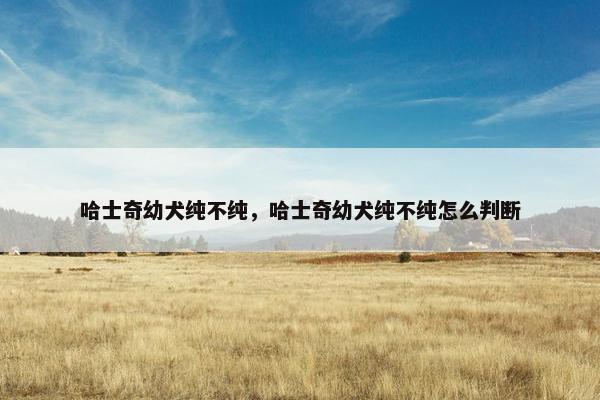 哈士奇幼犬纯不纯，哈士奇幼犬纯不纯怎么判断