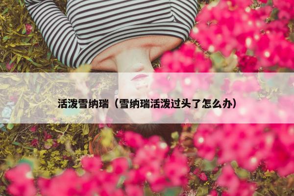 活泼雪纳瑞（雪纳瑞活泼过头了怎么办）