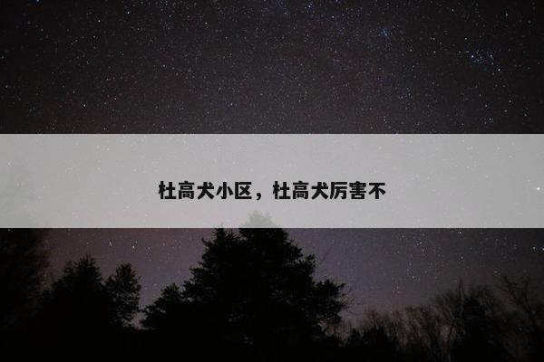 杜高犬小区，杜高犬厉害不