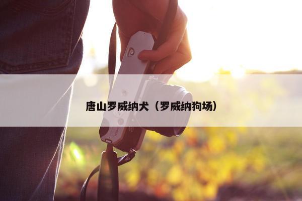 唐山罗威纳犬（罗威纳狗场）