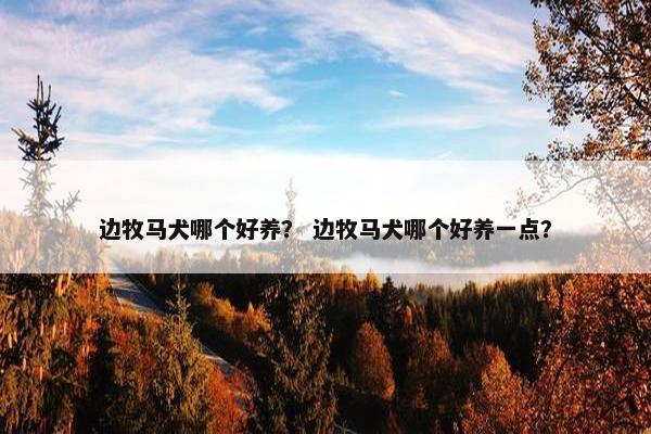 边牧马犬哪个好养？ 边牧马犬哪个好养一点？