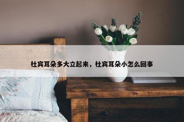 杜宾耳朵多大立起来，杜宾耳朵小怎么回事