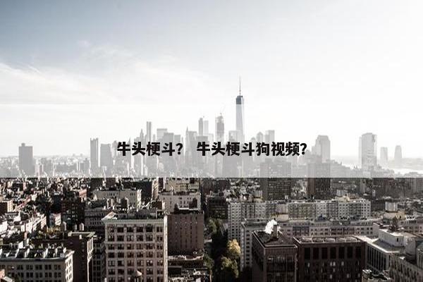 牛头梗斗？ 牛头梗斗狗视频？