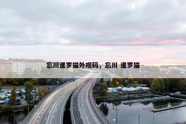 忘川暹罗猫外观码，忘川 暹罗猫