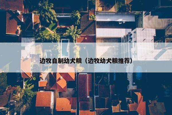 边牧自制幼犬粮（边牧幼犬粮推荐）