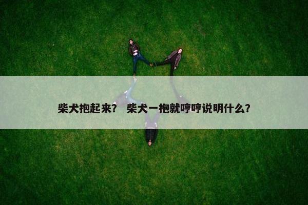 柴犬抱起来？ 柴犬一抱就哼哼说明什么？