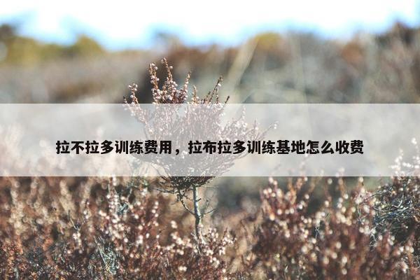 拉不拉多训练费用，拉布拉多训练基地怎么收费