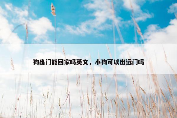 狗出门能回家吗英文，小狗可以出远门吗