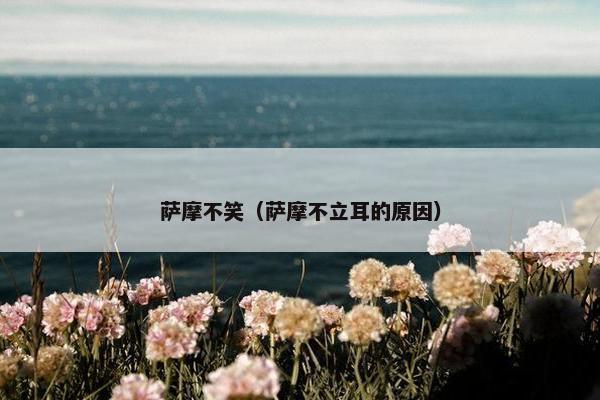 萨摩不笑（萨摩不立耳的原因）