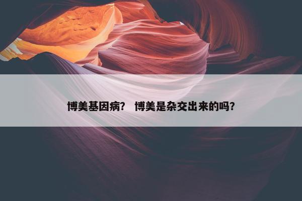 博美基因病？ 博美是杂交出来的吗？