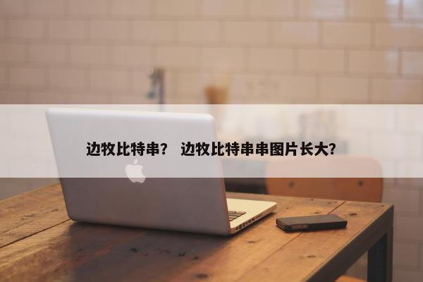 边牧比特串？ 边牧比特串串图片长大？