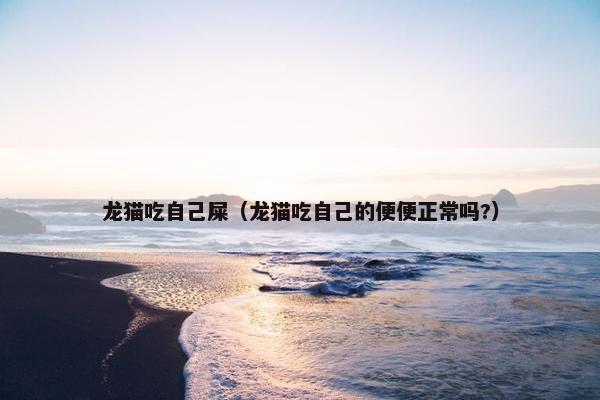 龙猫吃自己屎（龙猫吃自己的便便正常吗?）