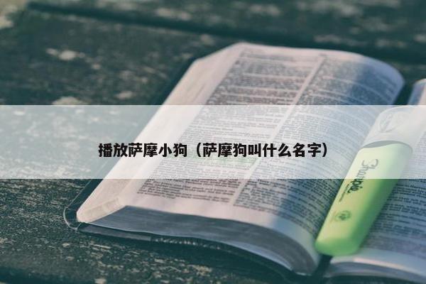 播放萨摩小狗（萨摩狗叫什么名字）
