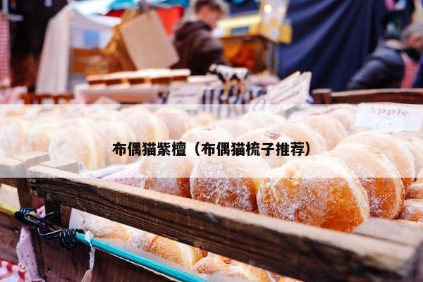 布偶猫紫檀（布偶猫梳子推荐）