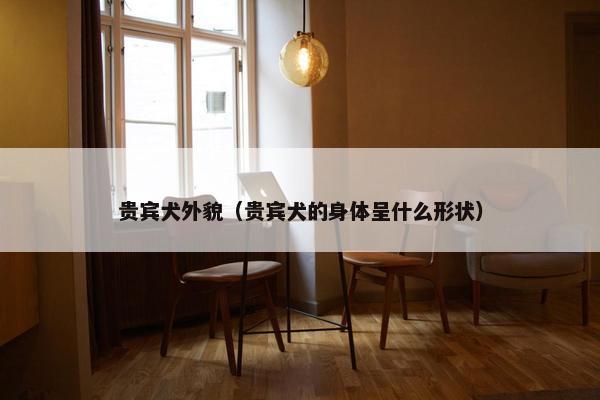 贵宾犬外貌（贵宾犬的身体呈什么形状）