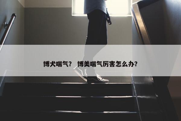 博犬喘气？ 博美喘气厉害怎么办？