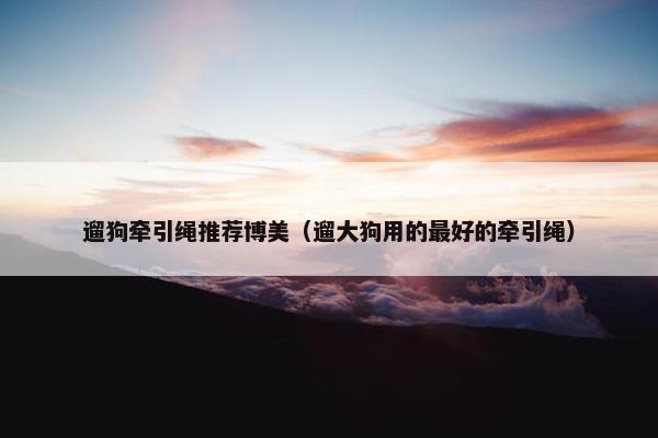 遛狗牵引绳推荐博美（遛大狗用的最好的牵引绳）