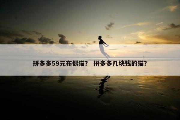 拼多多59元布偶猫？ 拼多多几块钱的猫？