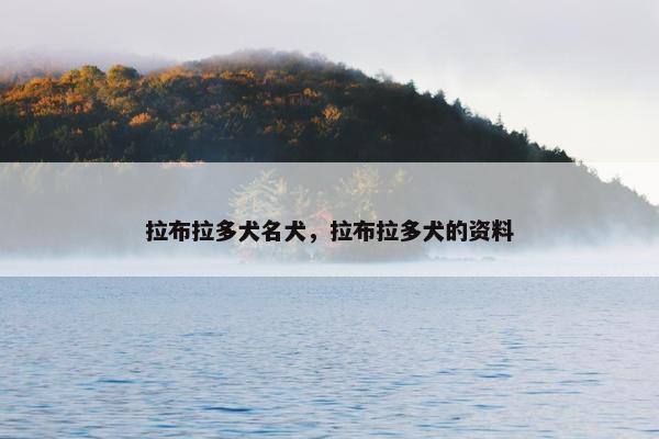 拉布拉多犬名犬，拉布拉多犬的资料