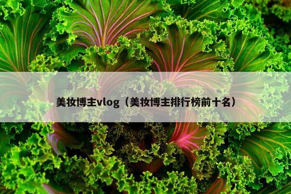 美妆博主vlog（美妆博主排行榜前十名）