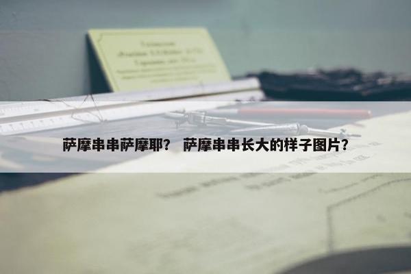 萨摩串串萨摩耶？ 萨摩串串长大的样子图片？