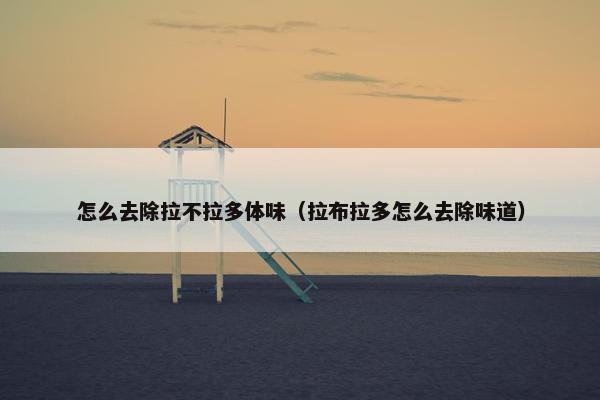 怎么去除拉不拉多体味（拉布拉多怎么去除味道）