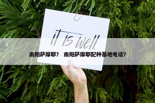 南阳萨摩耶？ 南阳萨摩耶配种基地电话？