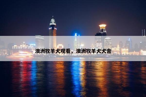 澳洲牧羊犬观看，澳洲牧羊犬犬舍