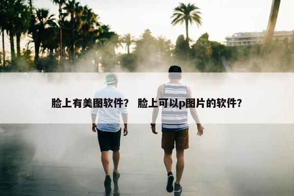 脸上有美图软件？ 脸上可以p图片的软件？