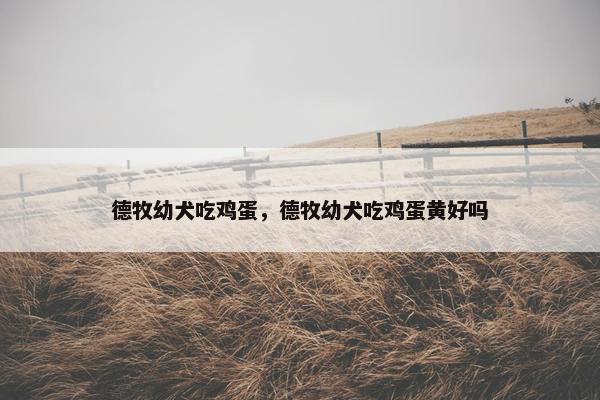 德牧幼犬吃鸡蛋，德牧幼犬吃鸡蛋黄好吗