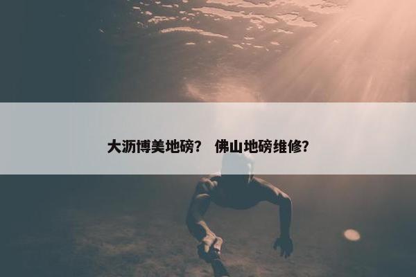 大沥博美地磅？ 佛山地磅维修？