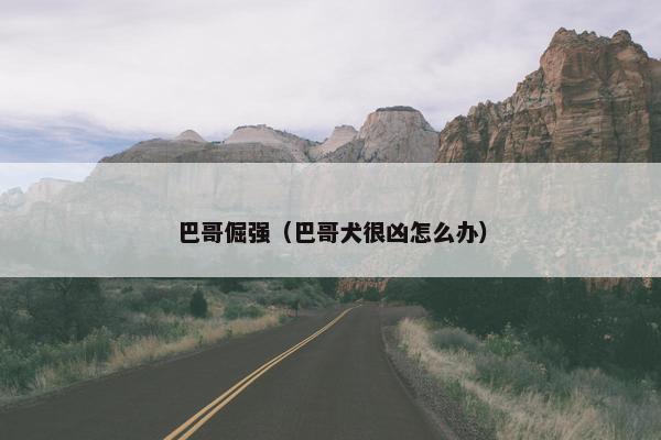 巴哥倔强（巴哥犬很凶怎么办）