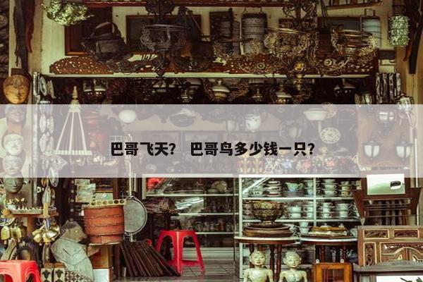 巴哥飞天？ 巴哥鸟多少钱一只？