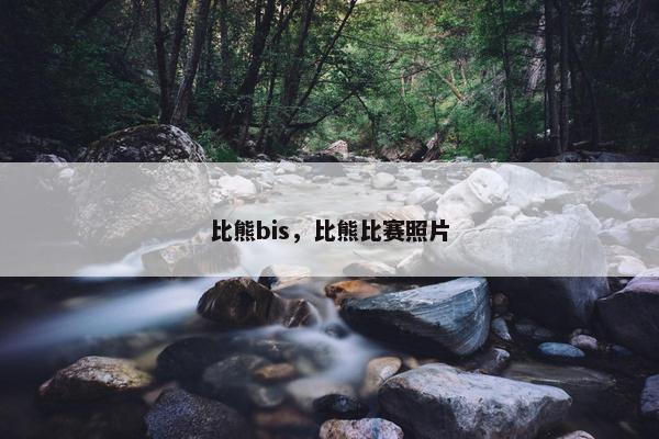 比熊bis，比熊比赛照片